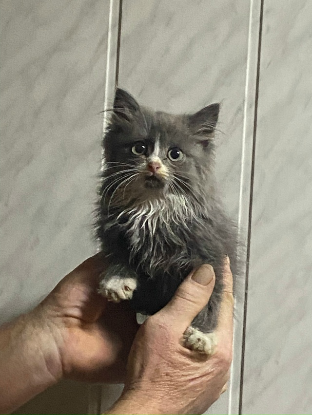 Админ, пожалуйста, выложите🙏
Сейчас на объездной доро...