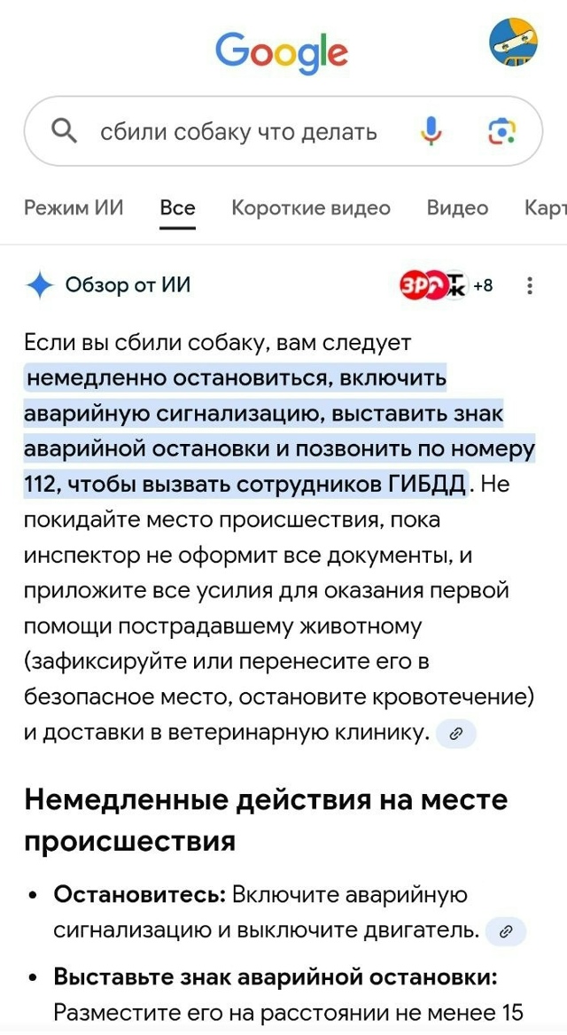 ❗️Пост для водителя, который сегодня утром сбил собак...