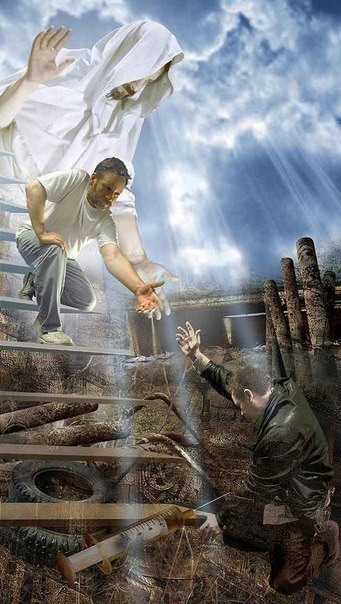 Привет друзья!
На улицах нашего города часто можно вид?...