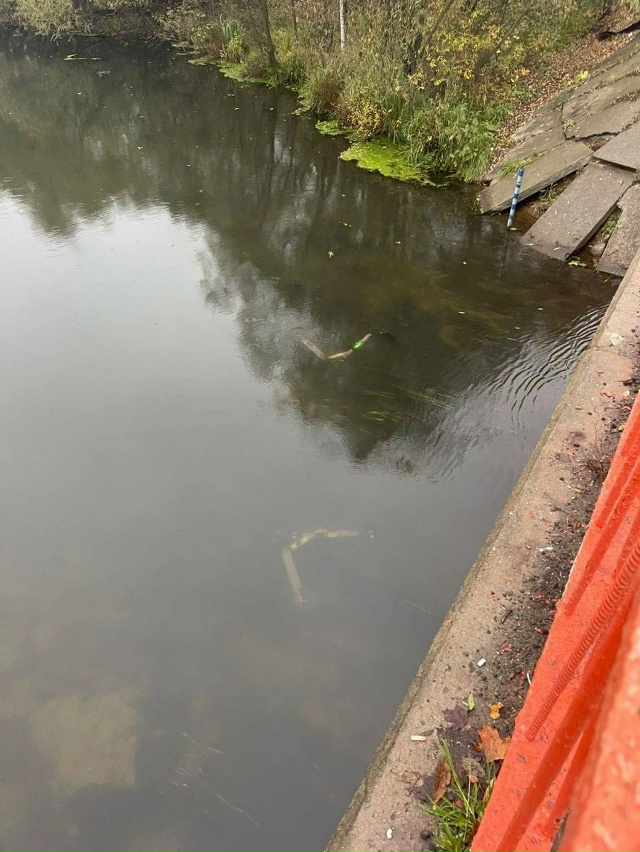 🙄 С первым снегом, самокаты уберут с улиц нашего город...