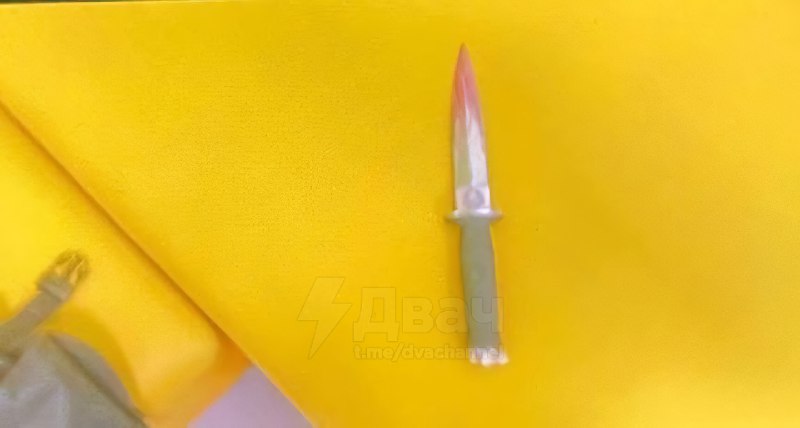 ❗️Нападение в школе подмосковного Одинцово: один ребёнок погиб, ещё один был в заложниках.
Нападавш