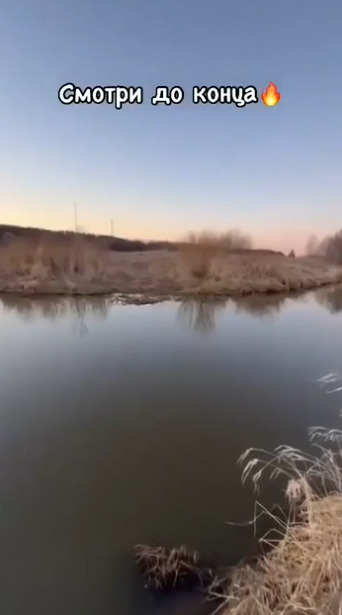 Умные мысли преследовали его, но он оказался быстрее