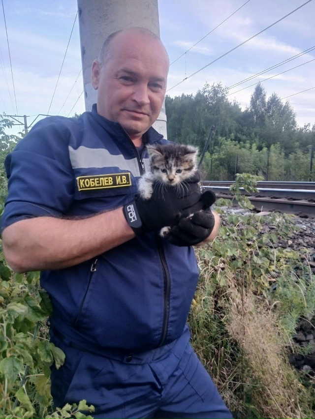 🐱Милоты пост: в Кунгуре спасли котенка
Местный жител?...