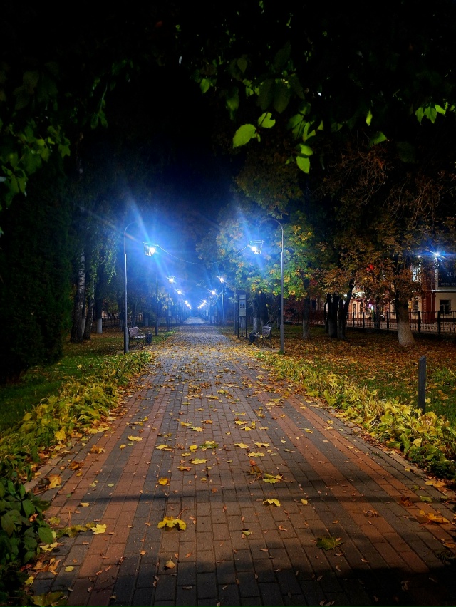 ✨️Моменты осени🍂 город Родники✨️🍁