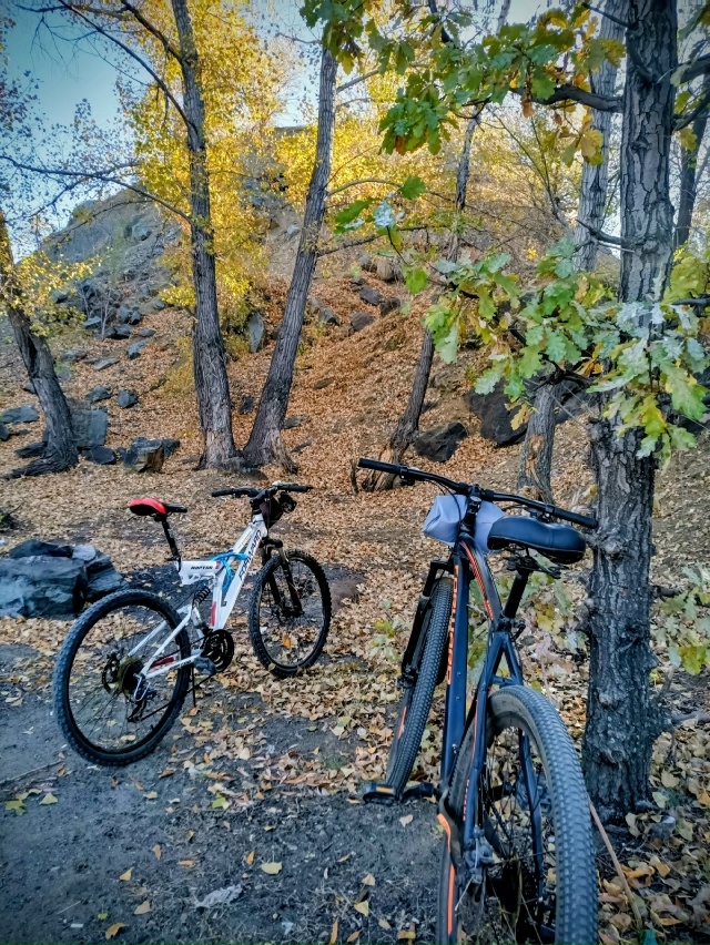 ? Немного осеннего Орска