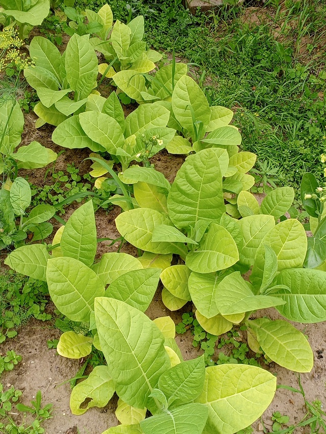 Холодает на улице. А чтобы не замёрзнуть, в трудах и заб...