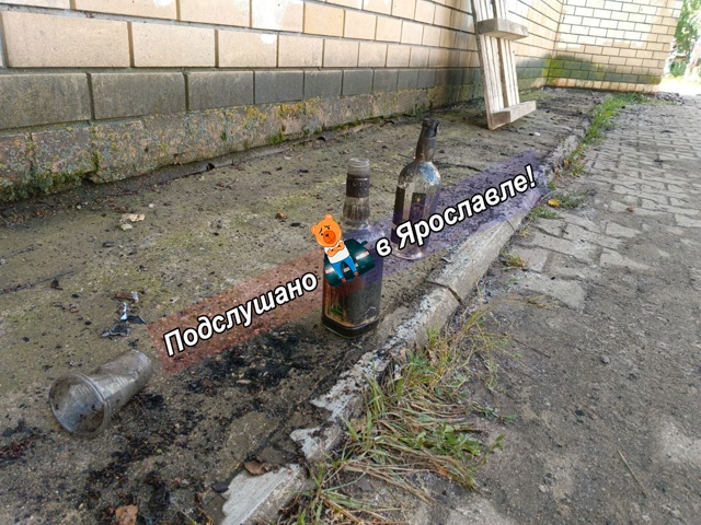 Подписчица сообщает, что 