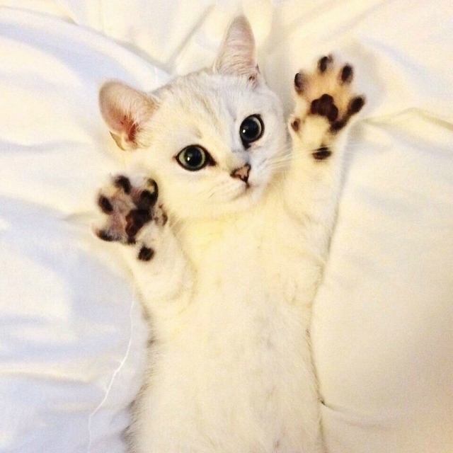 Столько людей носятся в поисках счастья, а счастье жив?...