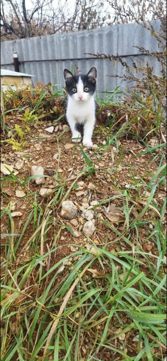 Мы сейчас живем с вами в какое то особое время,время ки?...