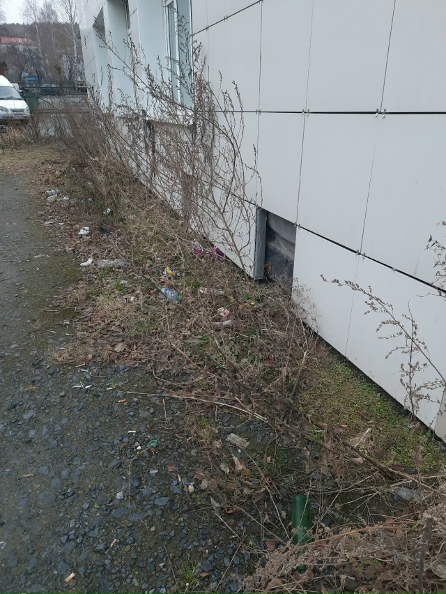 Вот такая картина у магазина Магнит. Фото сделано 2 дня ...