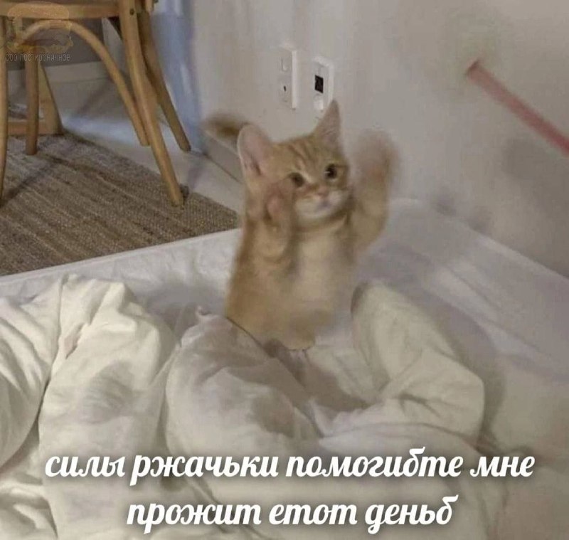 Утренняя подборочка