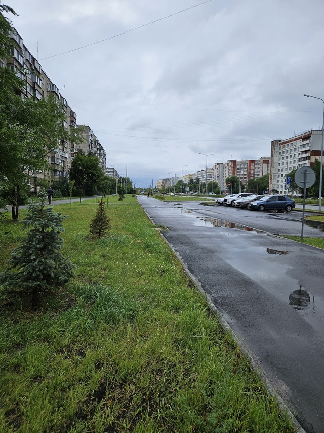 Помнится, нам синоптики обещали аномально жаркое лето ...