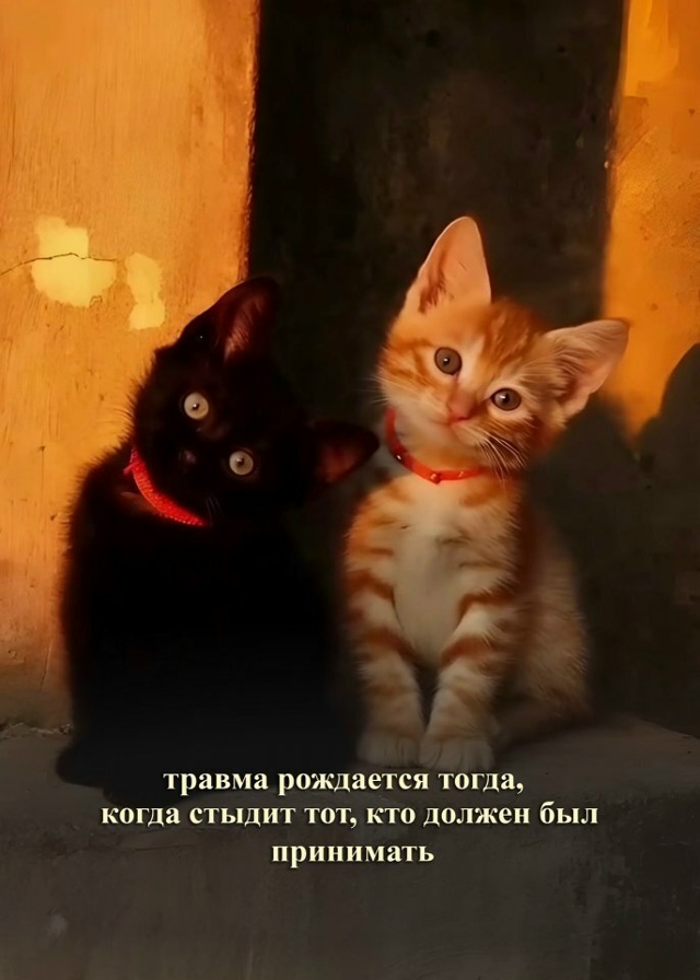 Травма не появляется сама по себе...