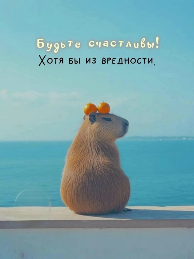Небольшой совет☺