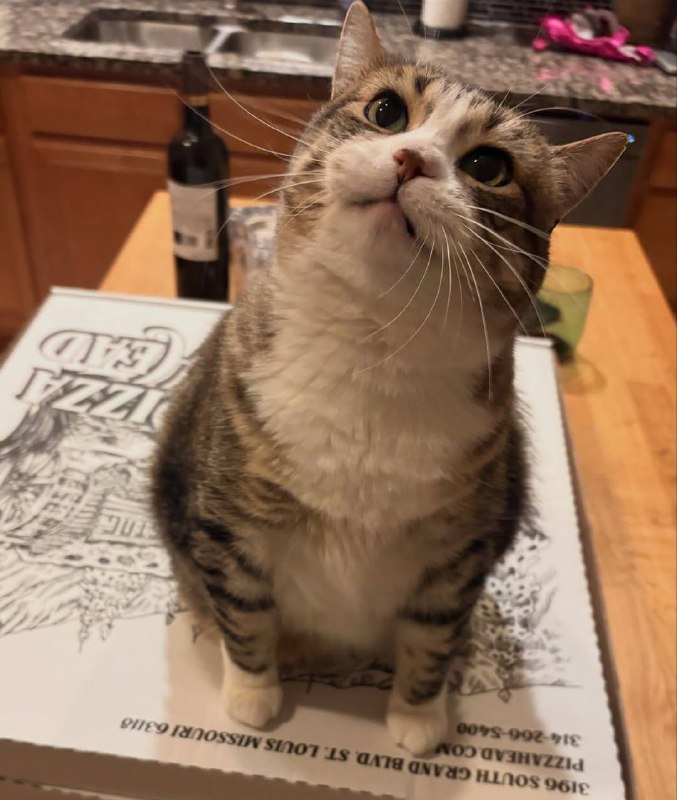 Питса зоблокирована! Для розблокировки вставьте питсу в питсеприемник!!!!!