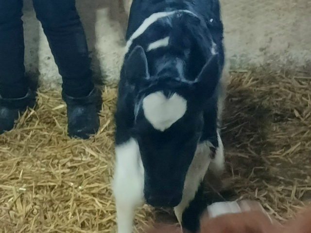 😍В деревне Верхние Леканды Аургазинского района Башк...