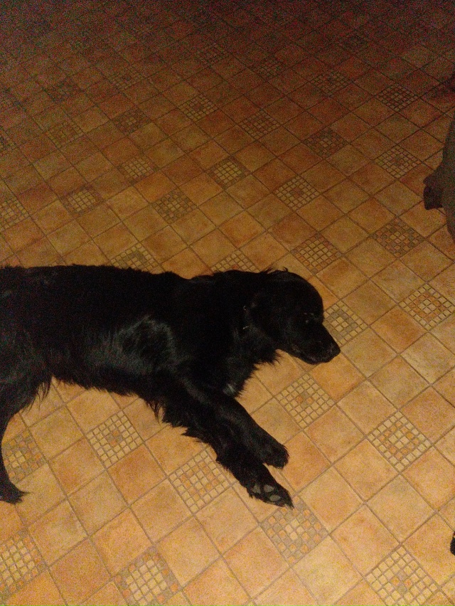 Здравствуйте уважаемые жители города Остров! Продолжа...