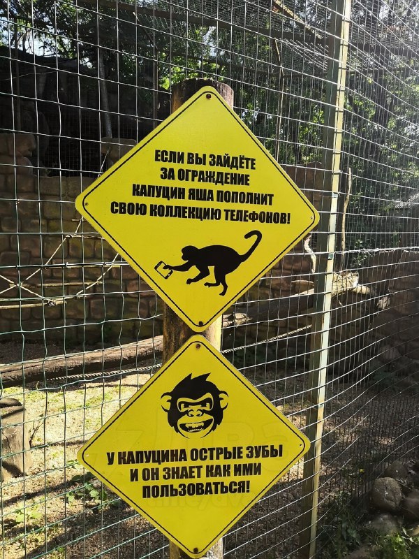 Так уж и быть, уговорили