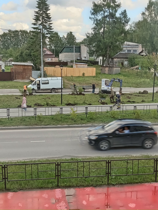 Интересное у нас в этом году озеленение. Где кусты поса...