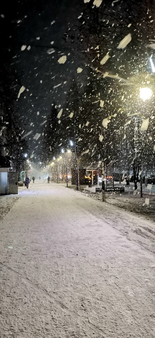 Снег❄.. Снег❄.. Снег❄...