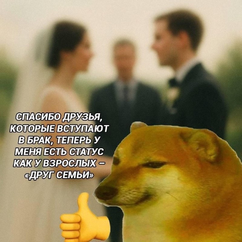 Утренняя подборочка