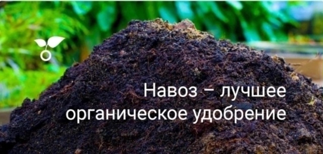 Продам навоз, машина ЗИЛ-130. Все вопросы по телефону +79211...