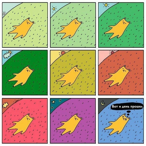 Типичный день кота😂