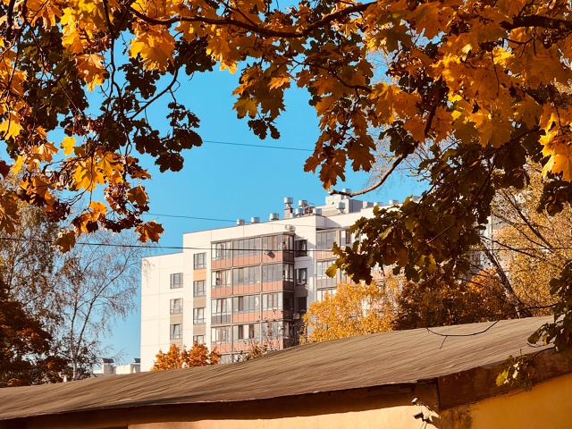 Осень золотая🍁
