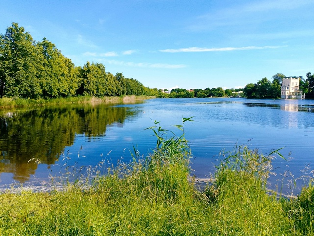 В Колонистском парке Петергофа