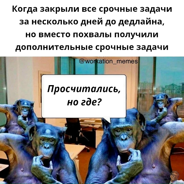 #программирование #кодинг #айти