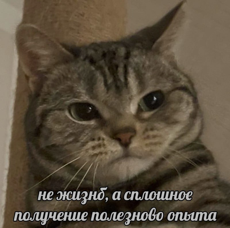Ночная подборочка
Спать, режим
