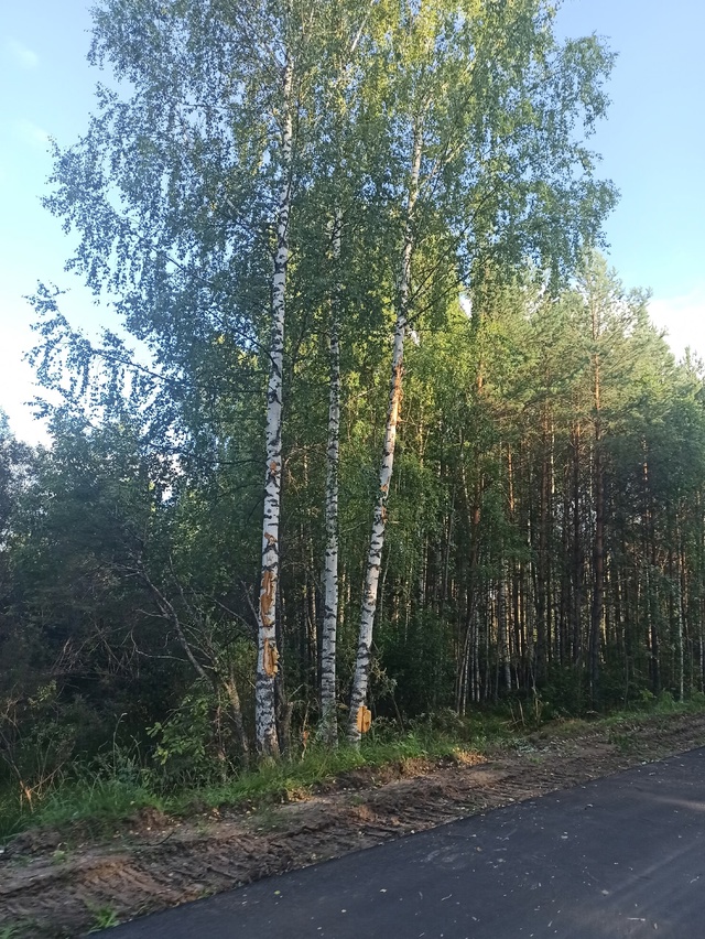 Пожалуйста анонимно.
[club167089136|@vsk_adm], прошу прокомментир...