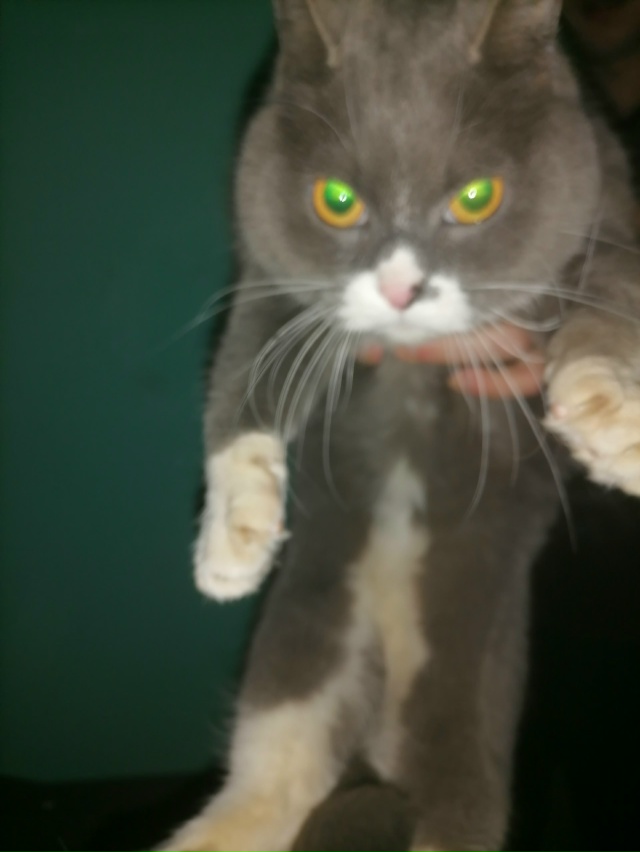 Кто потерял