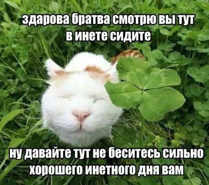 Утренняя подборочка