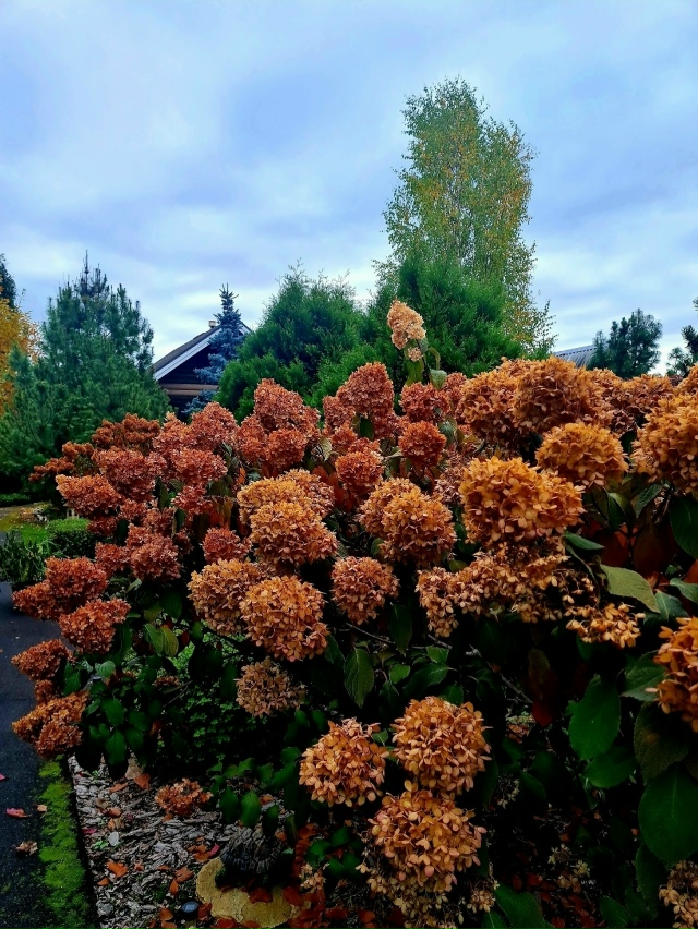 Красивый caд жительницы Перми ?
? Ирина Шершнёва