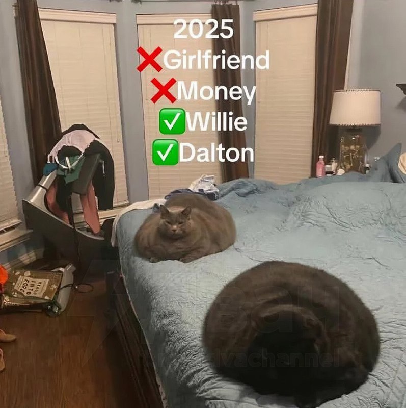 Первые два пункта абсолютно лишние