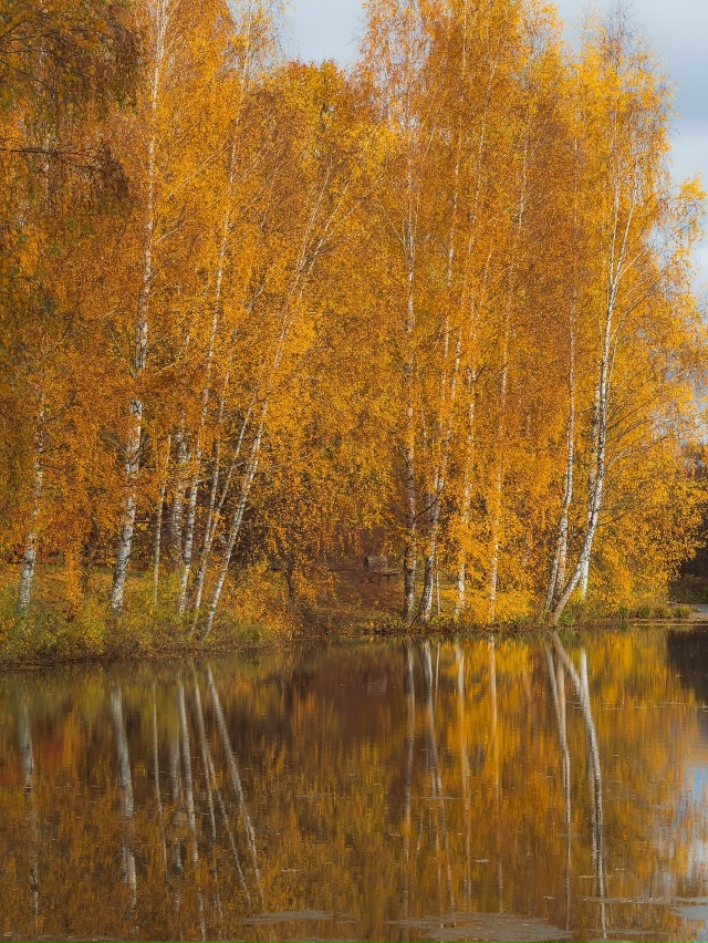 Костромская слобода 🇷🇺