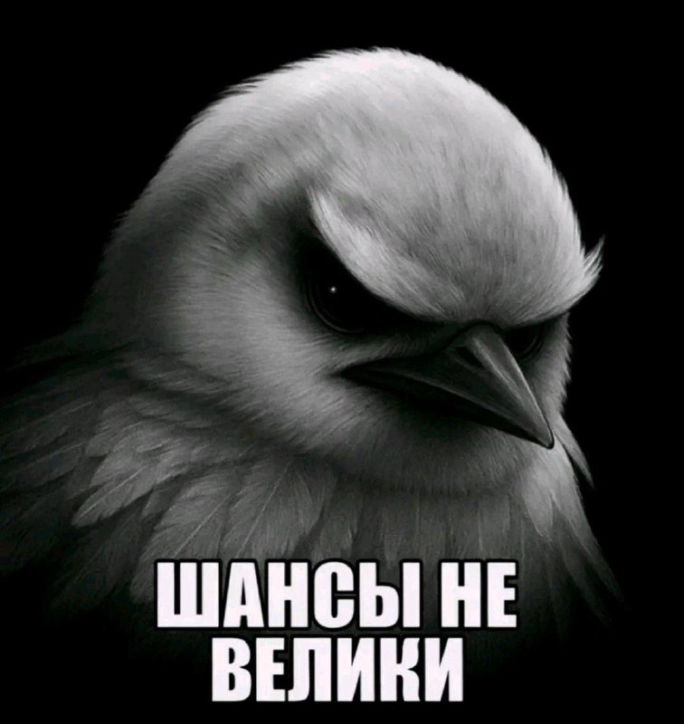 кто-то: «ты закроешь сессию до нового года??»
я: