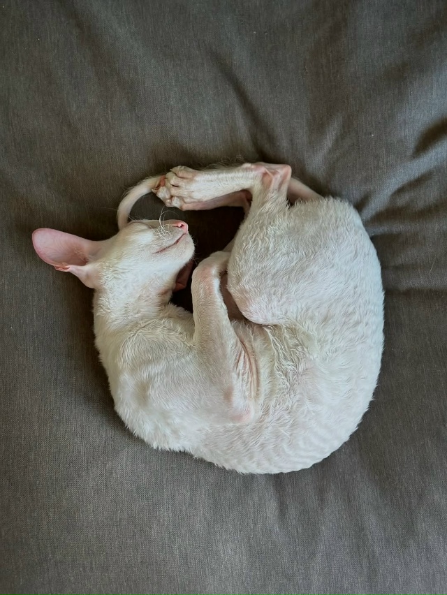 Милый инопланетянин😃