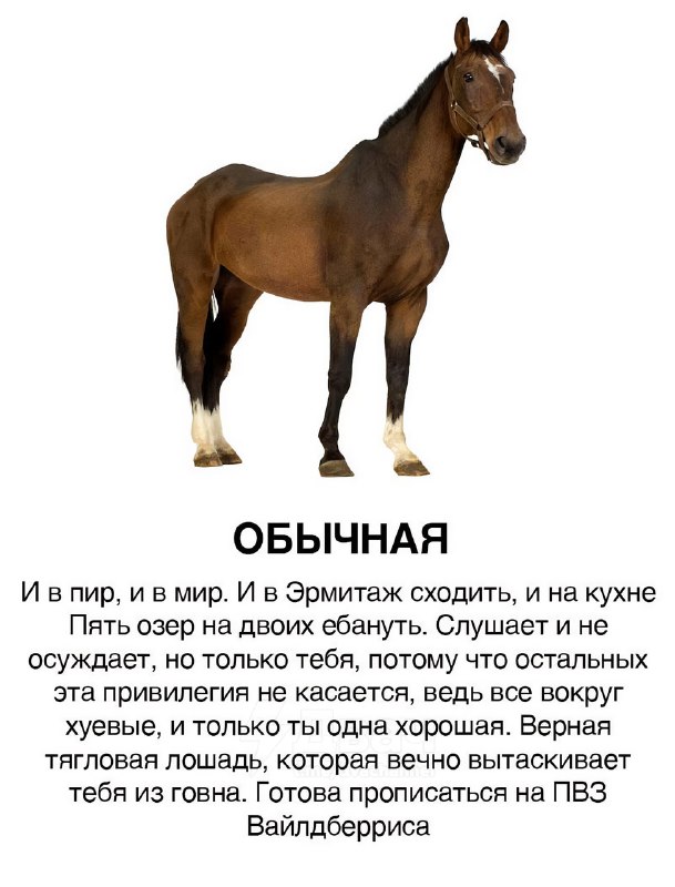 Появилась классификация тянок в виде лошадей
Ищем себя, скидываем подружкам