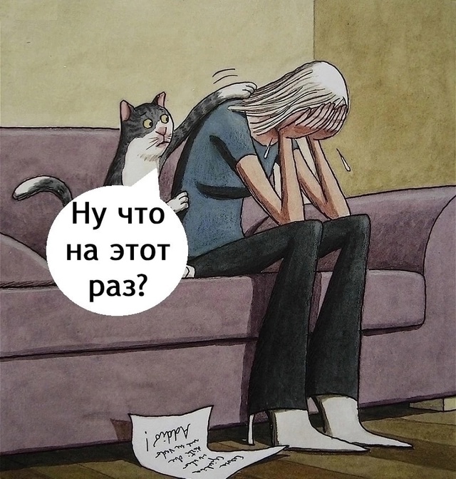 Мудрый котик)