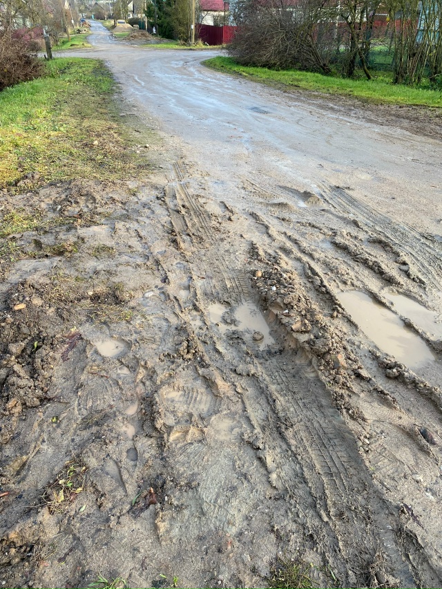 Что за грязь не проехать не пройти на улице Космонавто?...