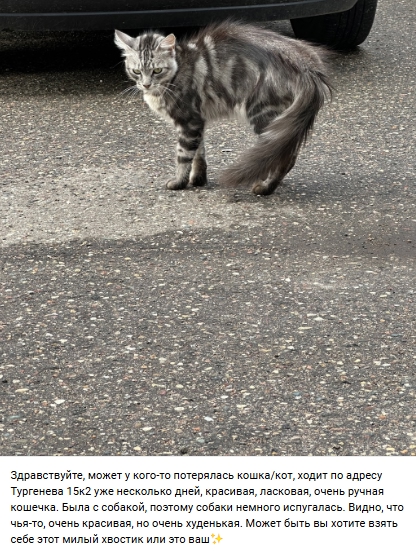 Пост добра. Распространите, пожалуйста.