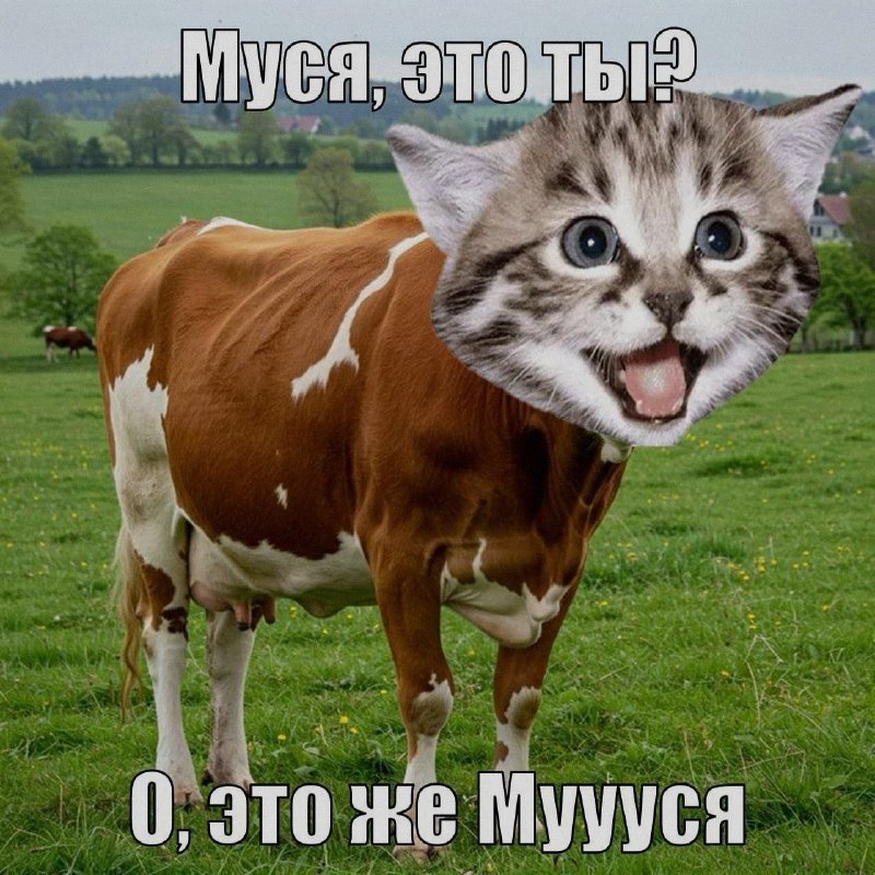 Ночная подборочка
Спать, режим