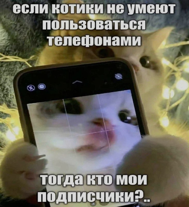 Ночная подборочка
Спать, режим