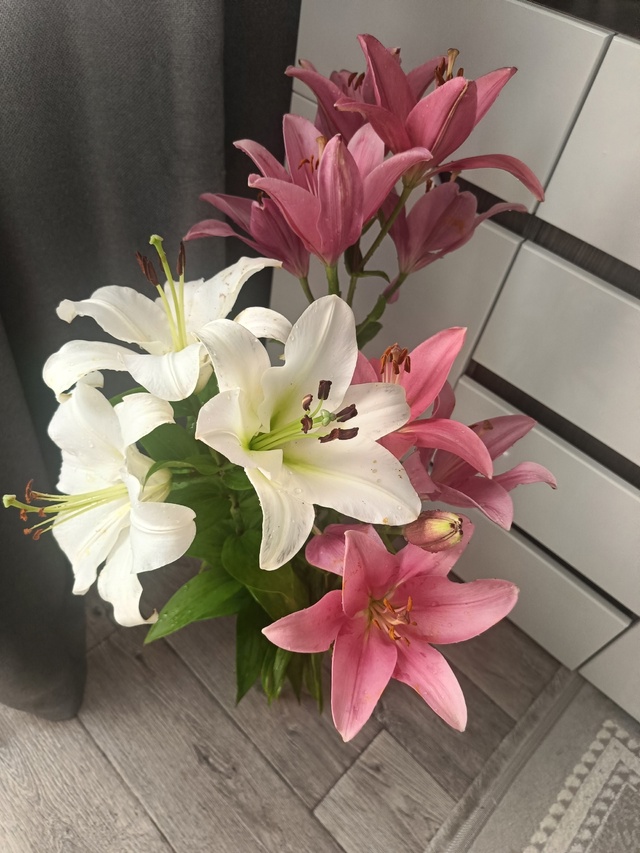 Кому сегодня ночью или ранним утром14.07.25. Недоделанный ...