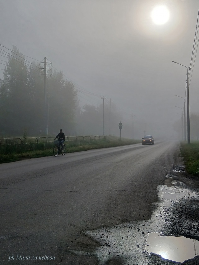 Утро туманное...🌫Всем хорошего дня и отличного настро?...