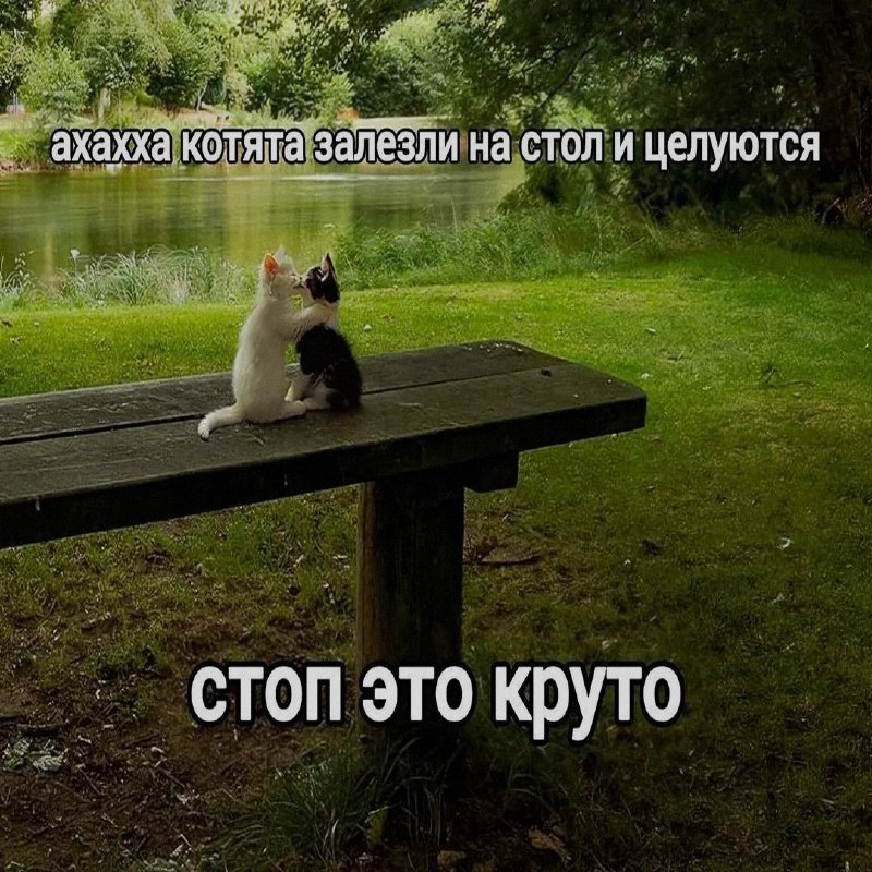 Ночная подборочка
Спать, режим
