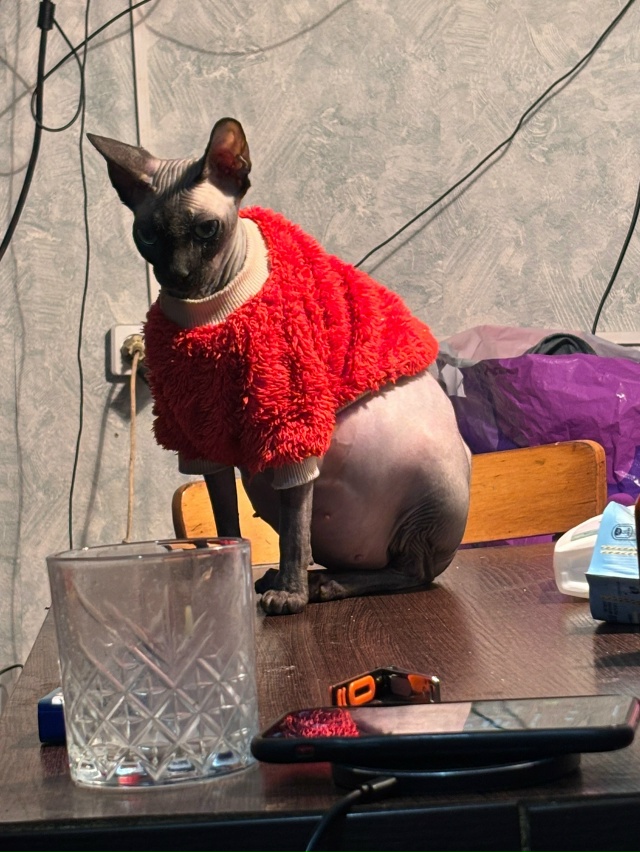 Чебурашка теперь мать❤️