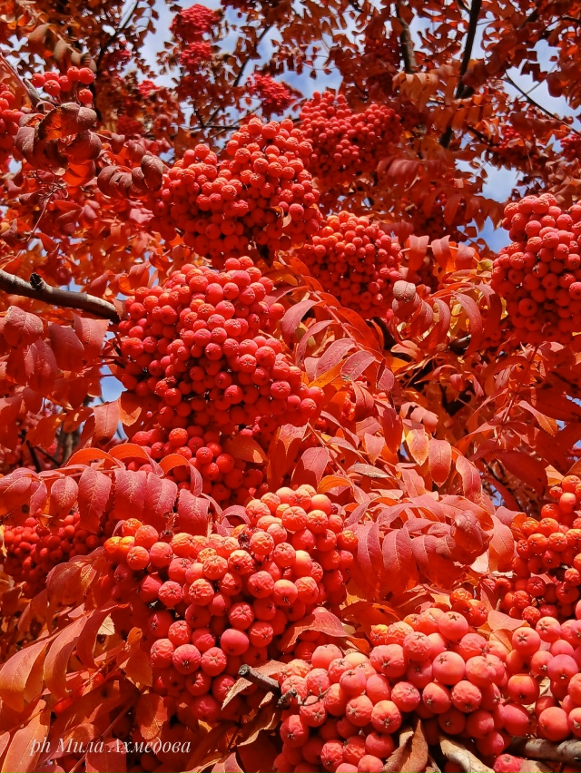 🍁🍂
Сегодня, в понедельник октября, на набережной бы?...